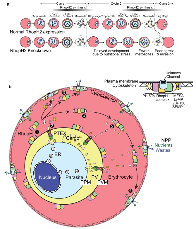 Figure 10.