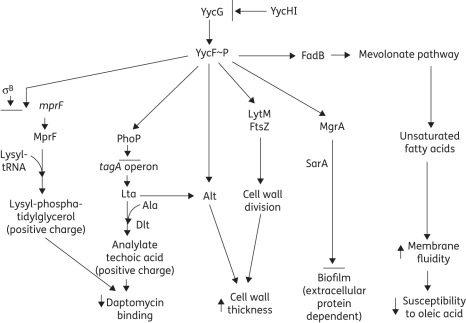 Figure 3.