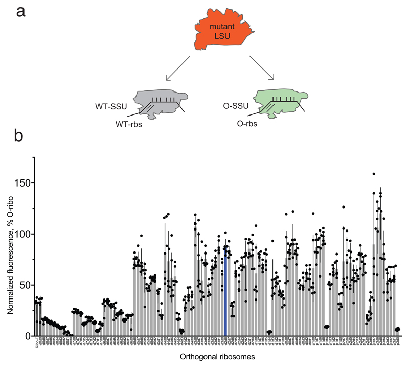 Extended Data Figure 1