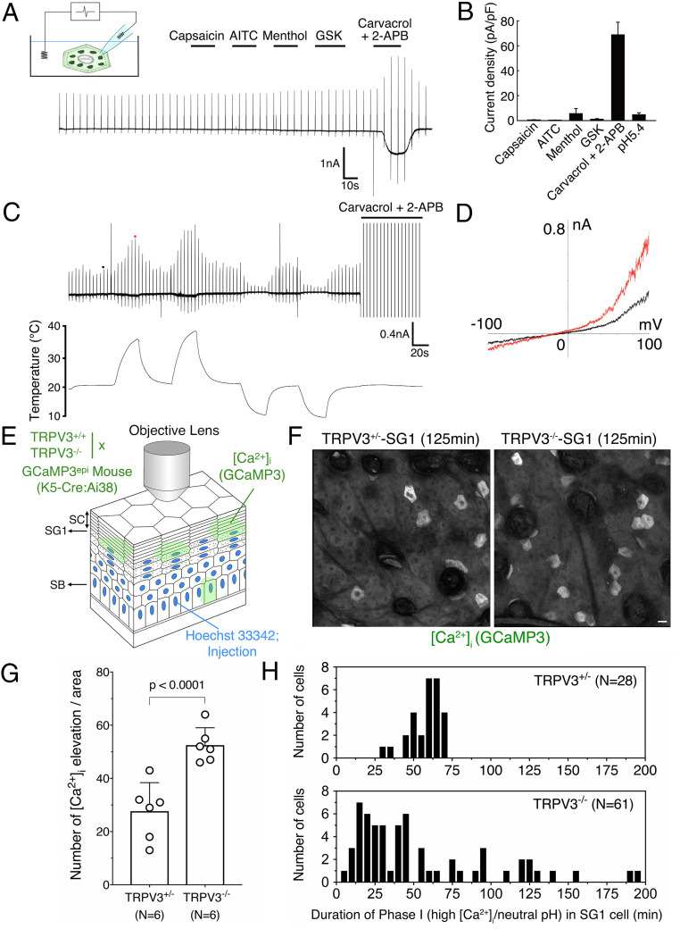 Fig. 4.