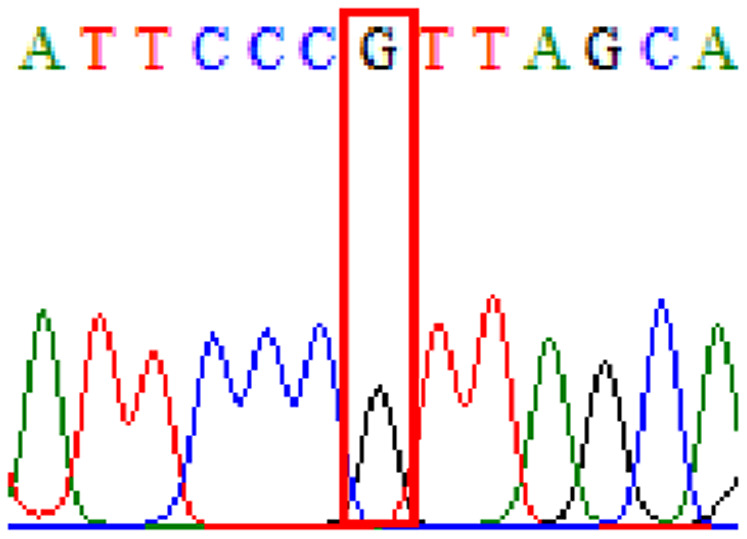 graphic file with name peerj-09-11518-i006.jpg