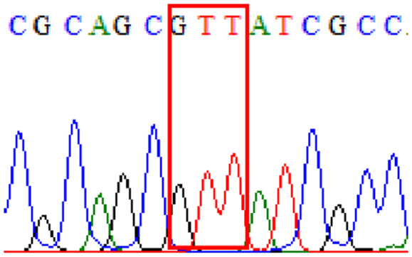 graphic file with name peerj-09-11518-i008.jpg