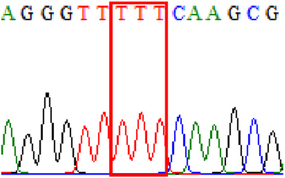 graphic file with name peerj-09-11518-i009.jpg