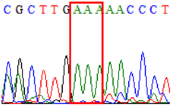 graphic file with name peerj-09-11518-i010.jpg