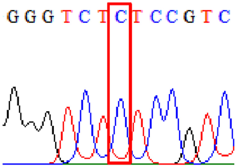 graphic file with name peerj-09-11518-i002.jpg