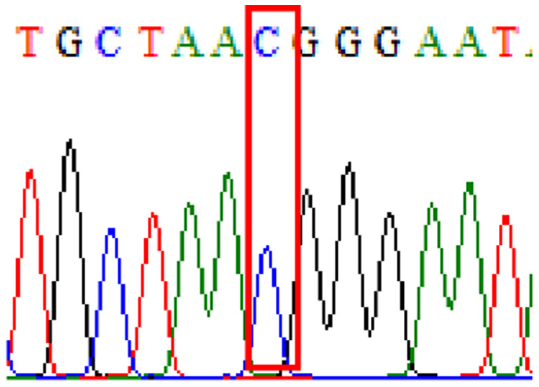 graphic file with name peerj-09-11518-i005.jpg