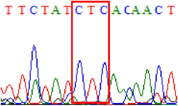 graphic file with name peerj-09-11518-i012.jpg