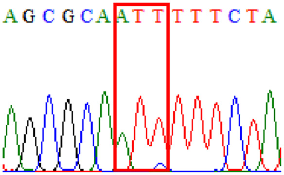 graphic file with name peerj-09-11518-i014.jpg