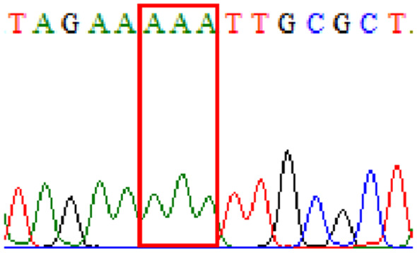 graphic file with name peerj-09-11518-i013.jpg