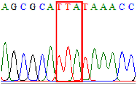 graphic file with name peerj-09-11518-i004.jpg