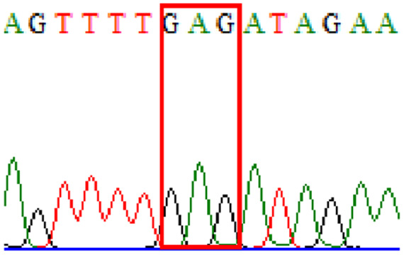 graphic file with name peerj-09-11518-i011.jpg