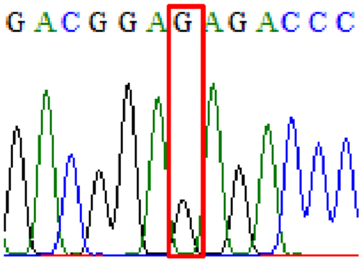 graphic file with name peerj-09-11518-i001.jpg