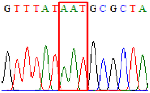 graphic file with name peerj-09-11518-i003.jpg