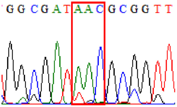 graphic file with name peerj-09-11518-i007.jpg