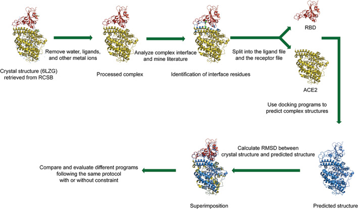 FIGURE 1