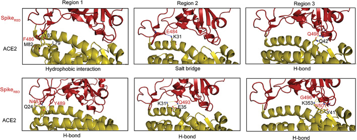 FIGURE 2