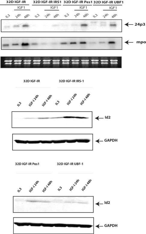 FIG. 6.