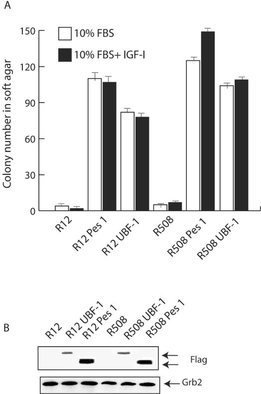 FIG. 9.