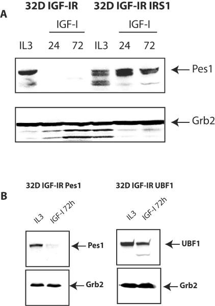 FIG. 8.