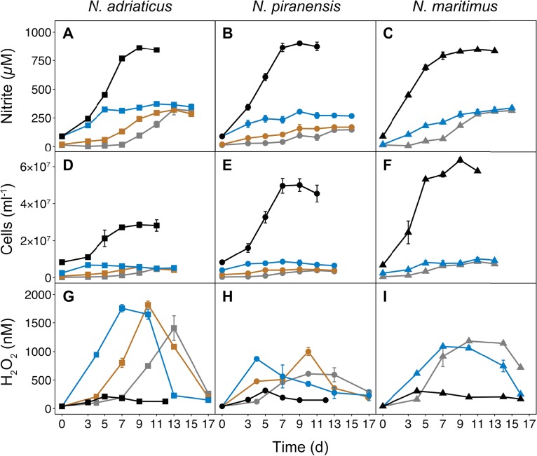 FIG 2