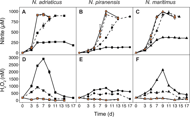 FIG 1