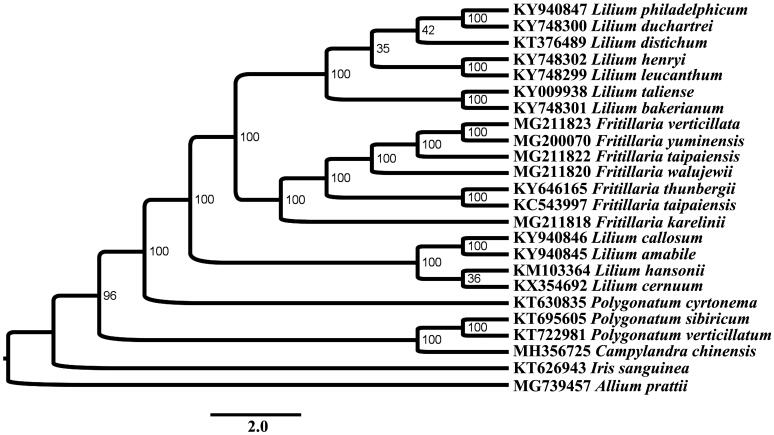 Figure 1.