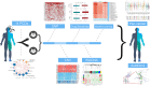 Image, graphical abstract