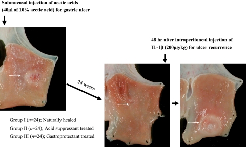 Fig. 1