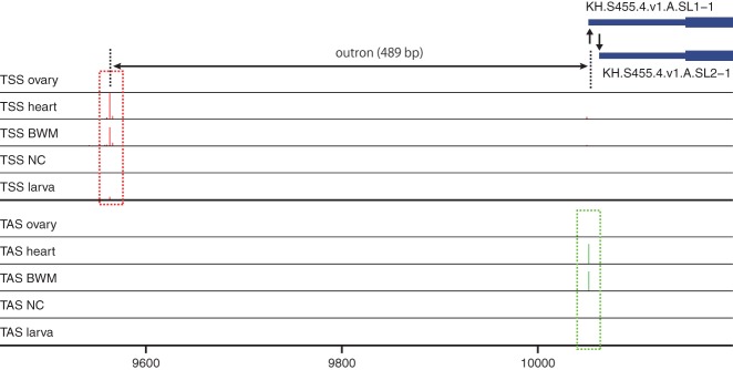 Figure 5.