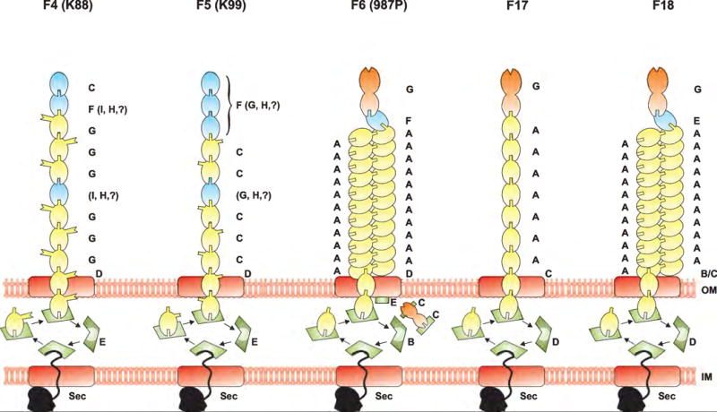 Fig. 2