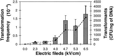 FIG. 2.