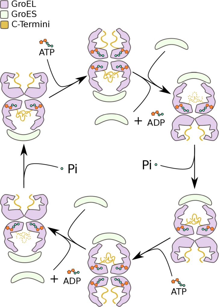 Fig 3