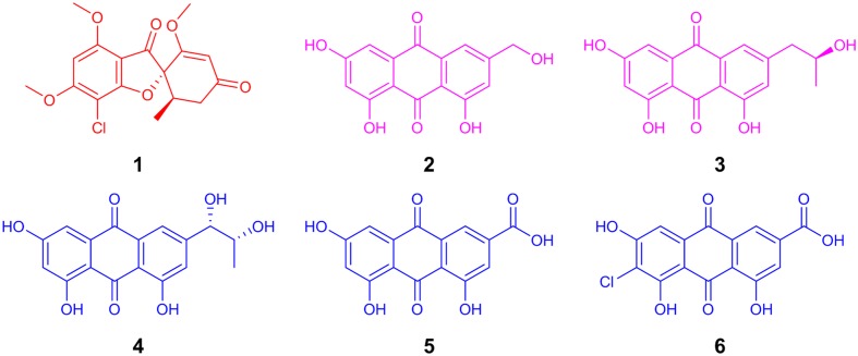 FIGURE 1