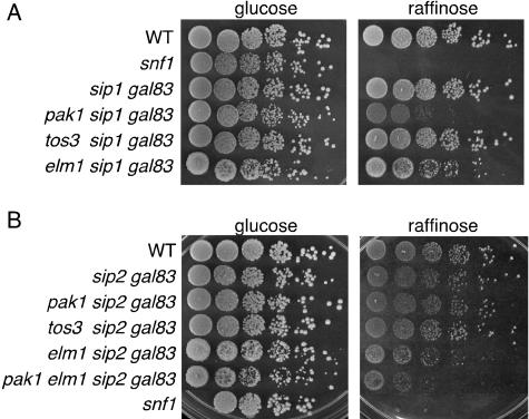 FIG. 3.