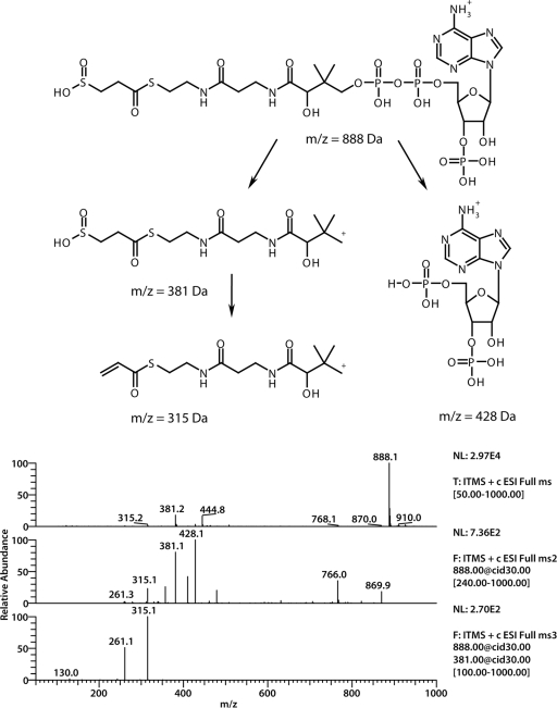 Fig. 8.