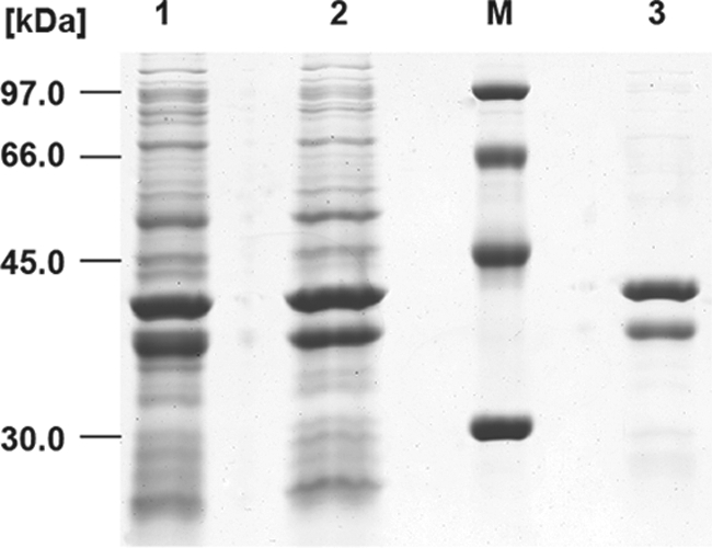 Fig. 6.