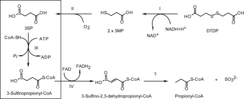 Fig. 9.