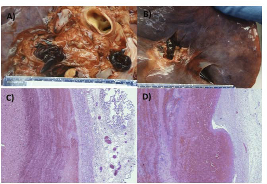 FIGURE 1: