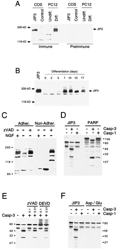 FIG. 9