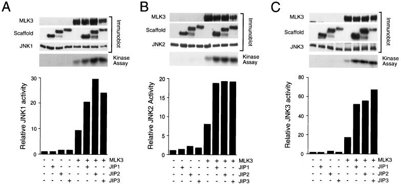 FIG. 7