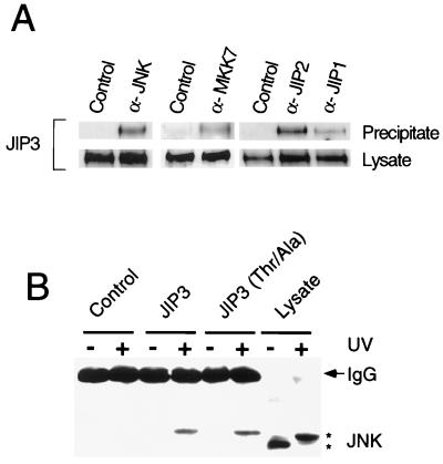 FIG. 6