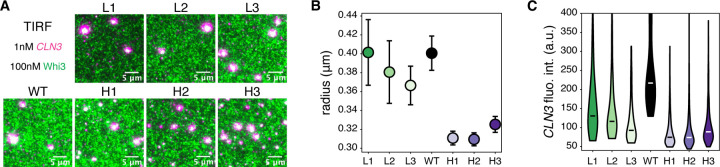 Figure 4: