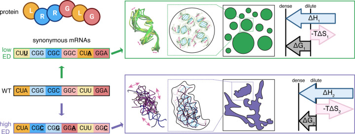 Figure 5: