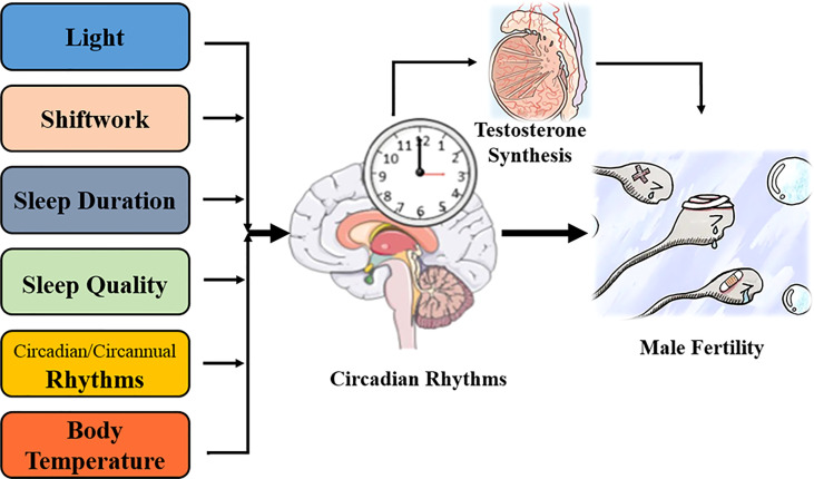 Figure 2