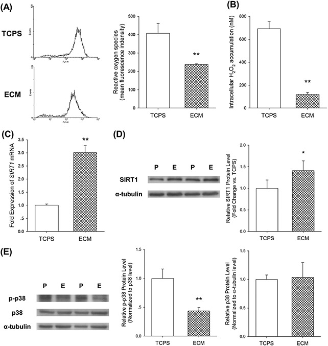 Fig.3.