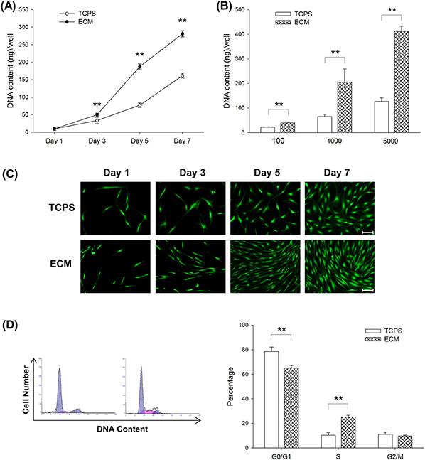 Fig.2.