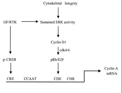 FIG. 9