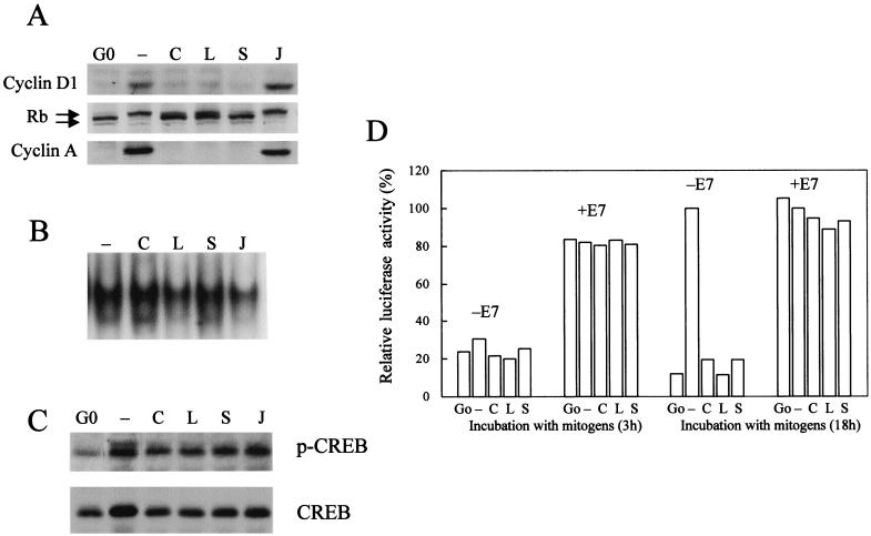 FIG. 8