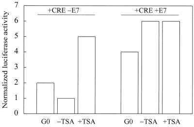 FIG. 5