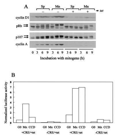 FIG. 7